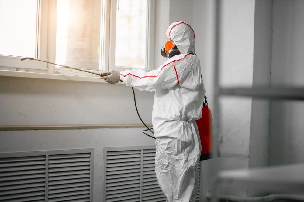 Professional mold remediation services in Ironside, OR